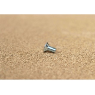 Schraube - 10 x 5 mm (einzeln verkauft)