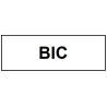 BIC Kaminofen